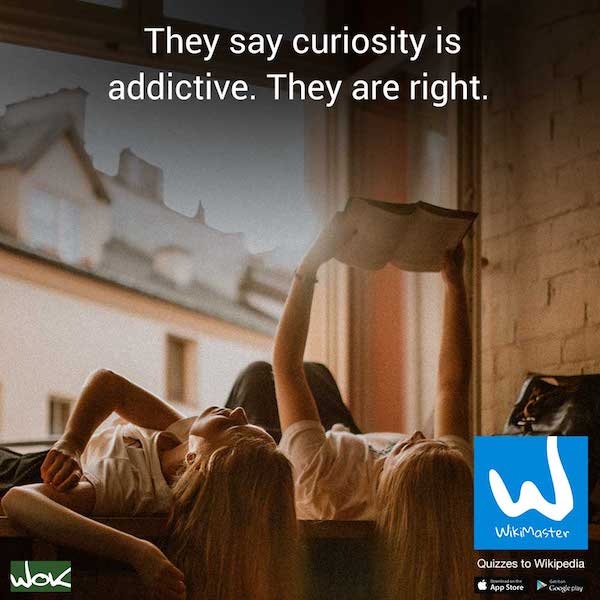 WM ad312 En they say curiosity 600 free 180724